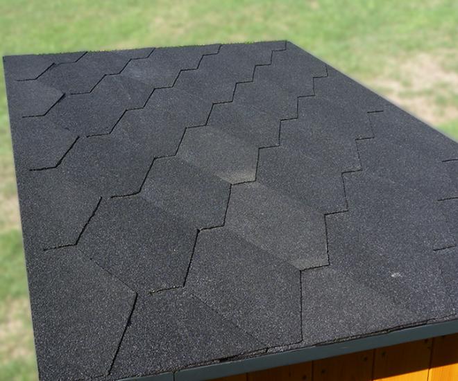 Kvalitni Psi Boudy 0006 Strecha