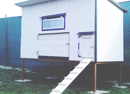 KURNÍKY A KACHNÍKY