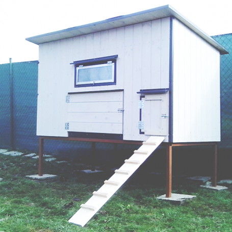 KURNÍKY A KACHNÍKY