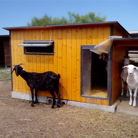 Zahradní a dětské domky a ostatní